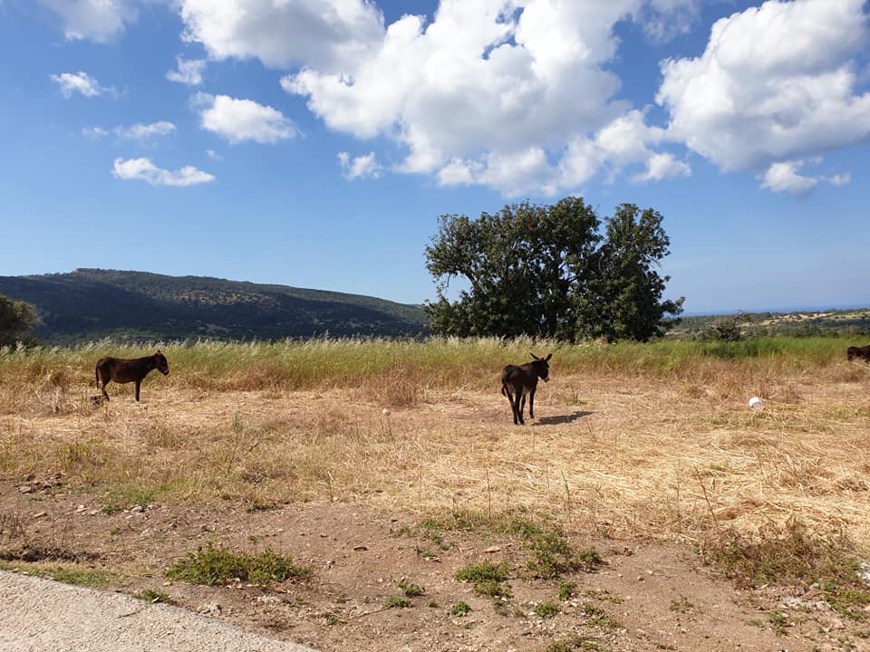 Akamas_1