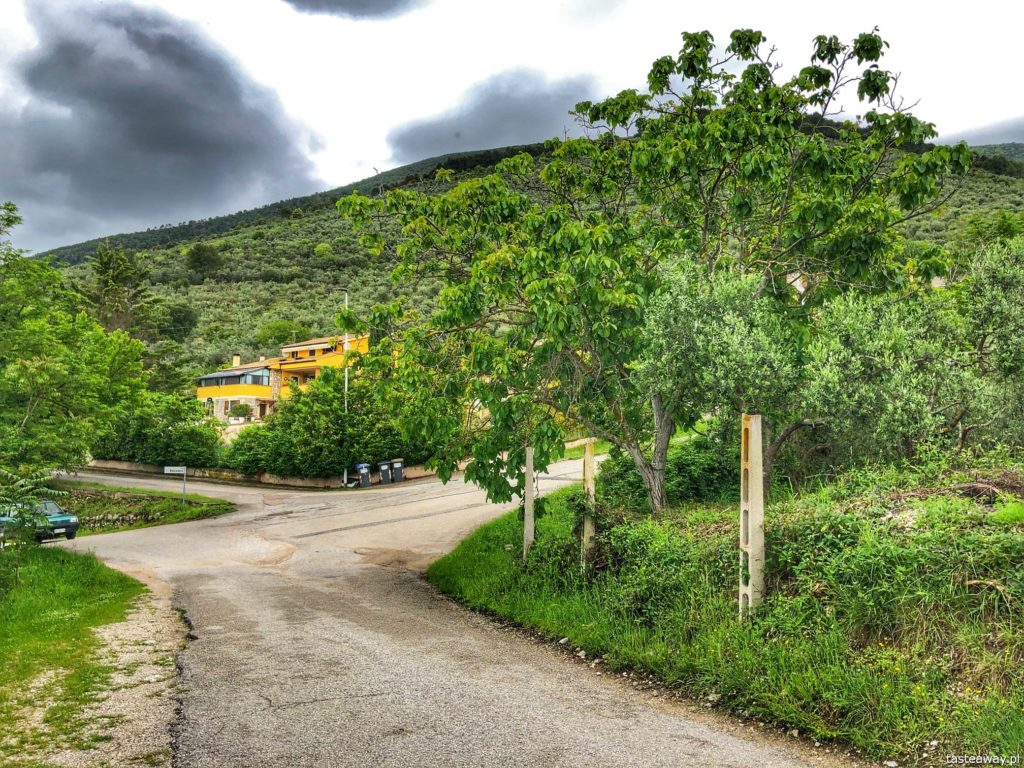 gaje-oliwne-umbria-3