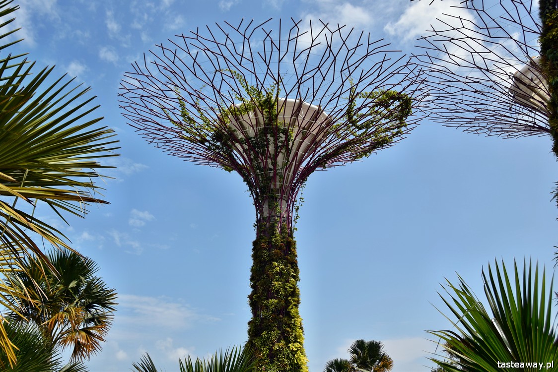 gardens1