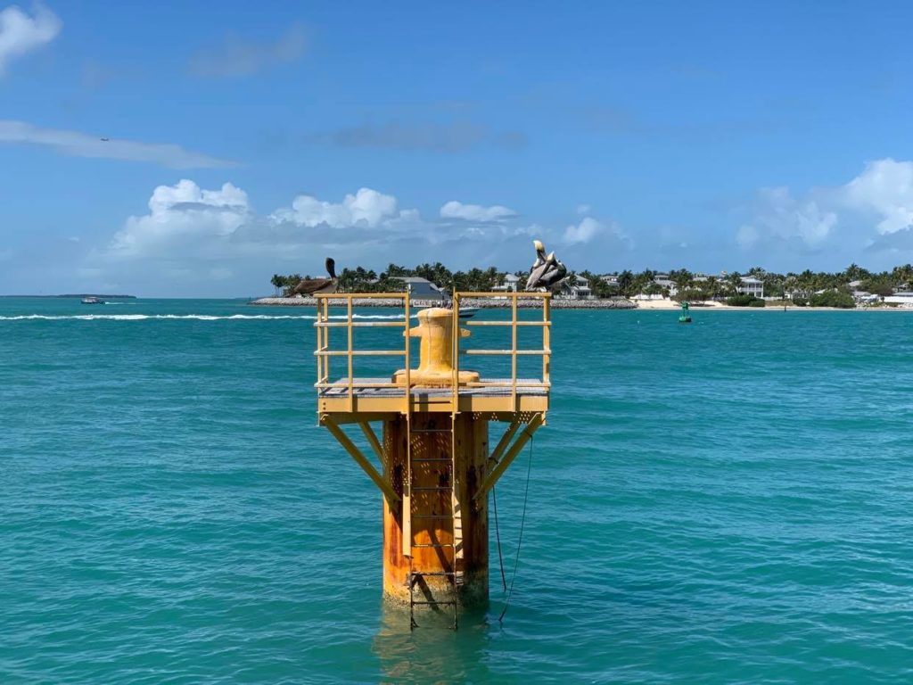 widok z Mallory Square