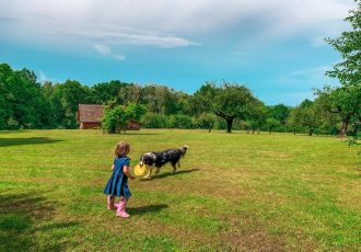 to jak spędzamy dni składa się na to jak spędzamy życie