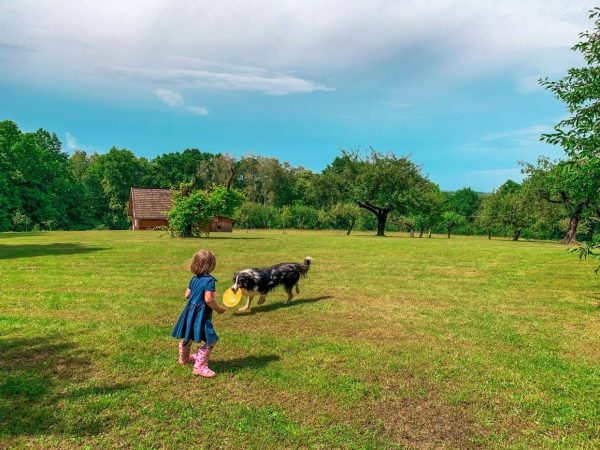to jak spędzamy dni składa się na to jak spędzamy życie