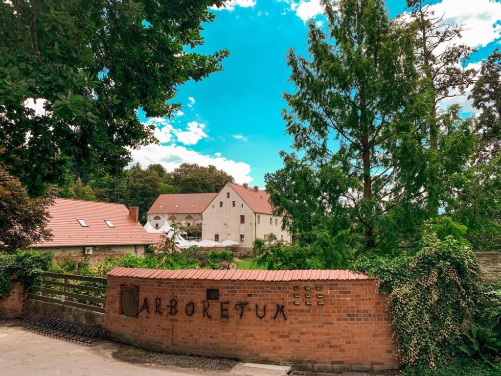 Arboretum Wojsławice_wejście