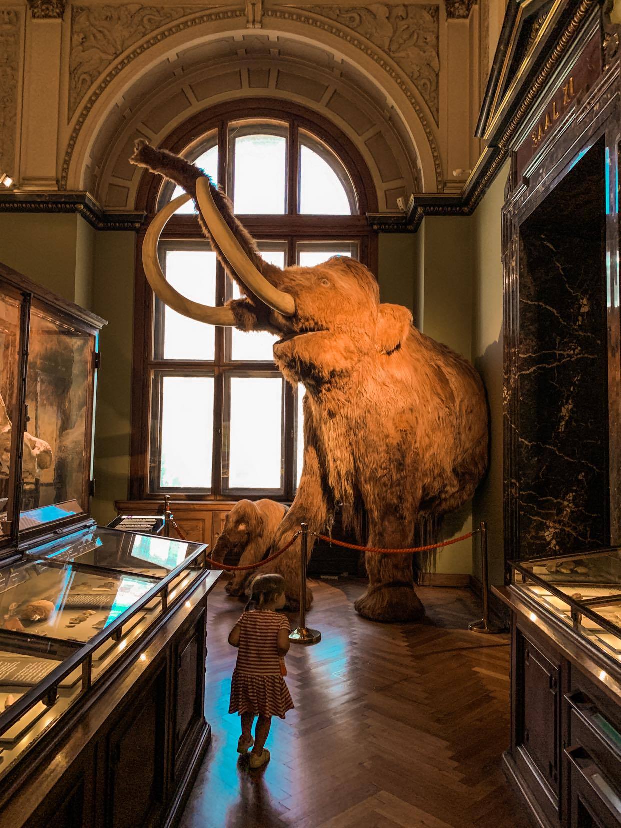 Sierpień 2020_amazing Vienna