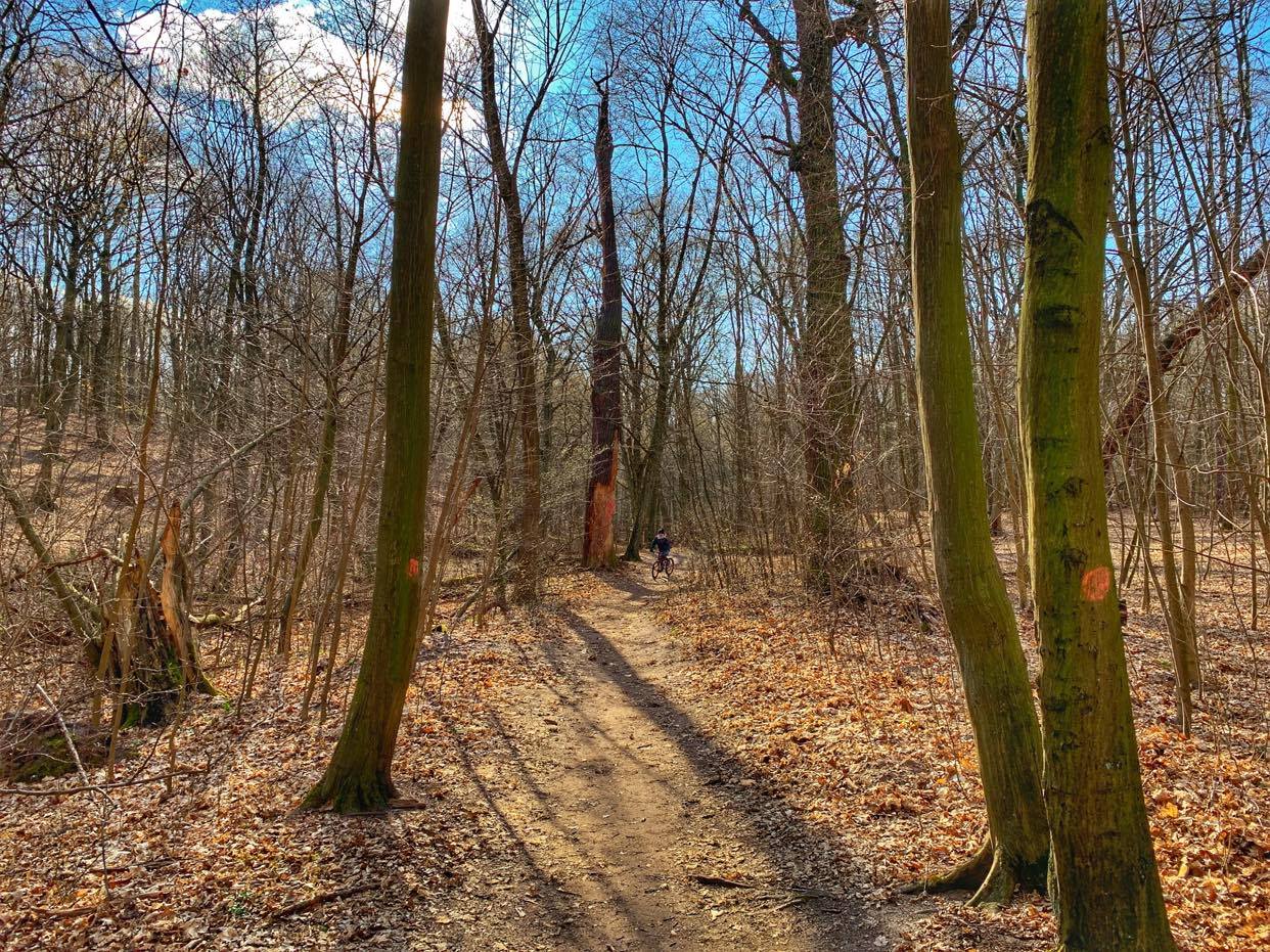 marzec 2020_Warszawa