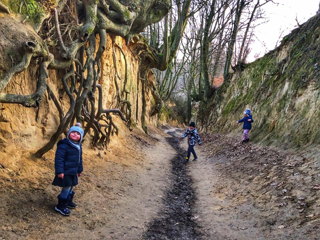 styczeń 2020_Kazimierz Dolny