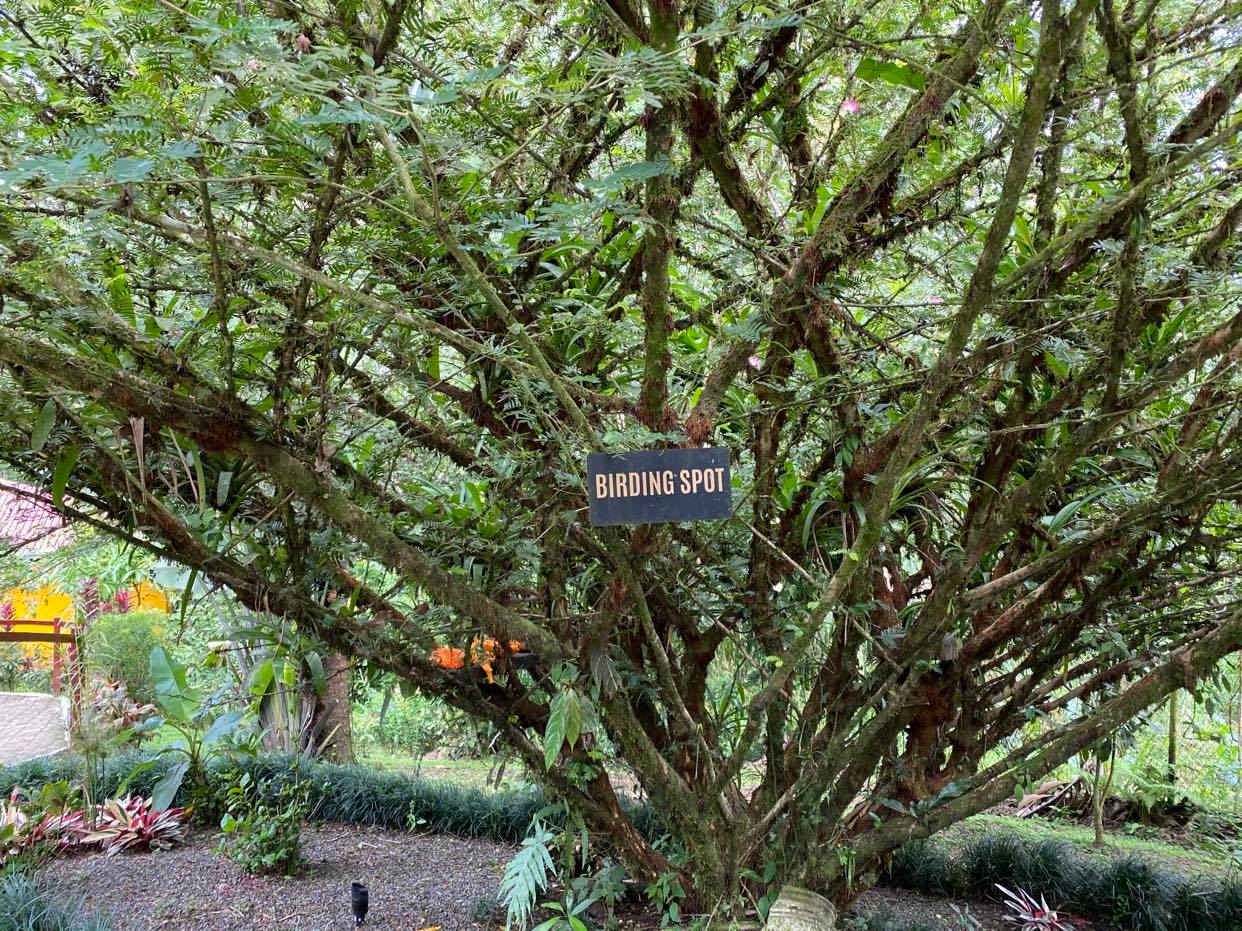 Tifkara_Birding Spot