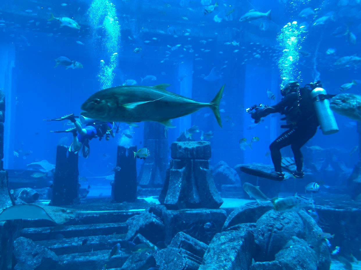 Lost Chambers_nurkowanie