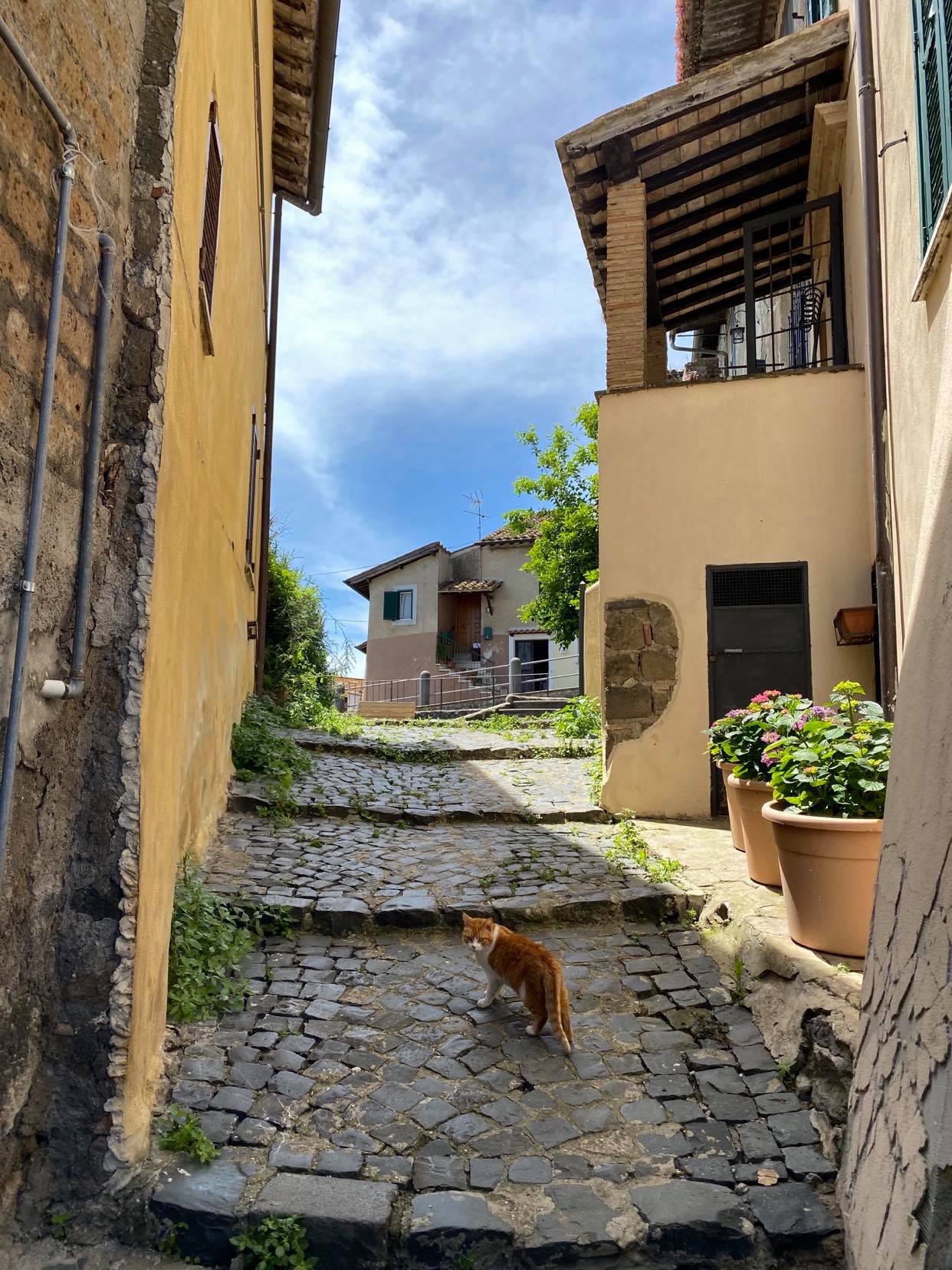 Anguillara Sabazia_5