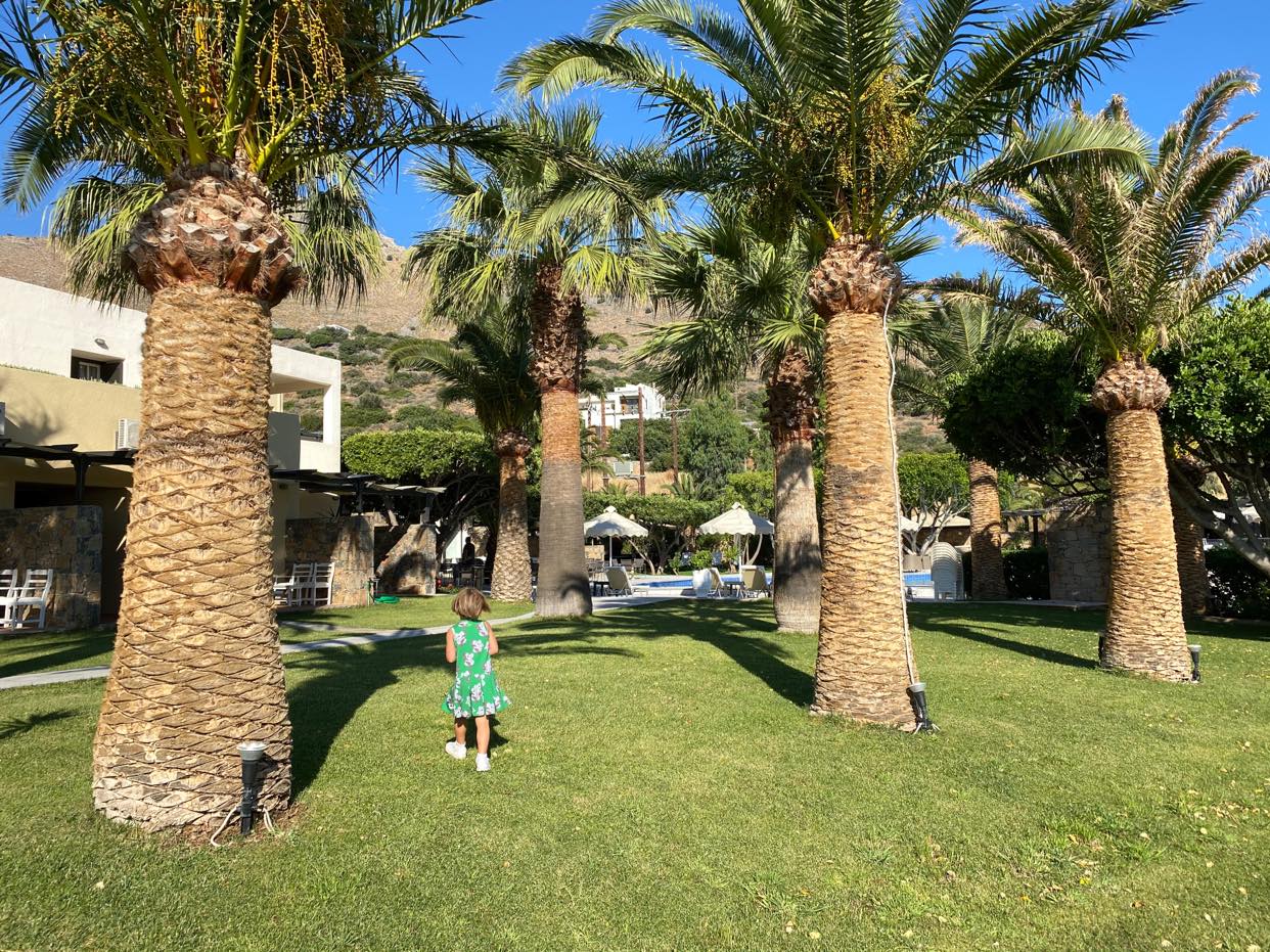 ELounda Palm_zieleń