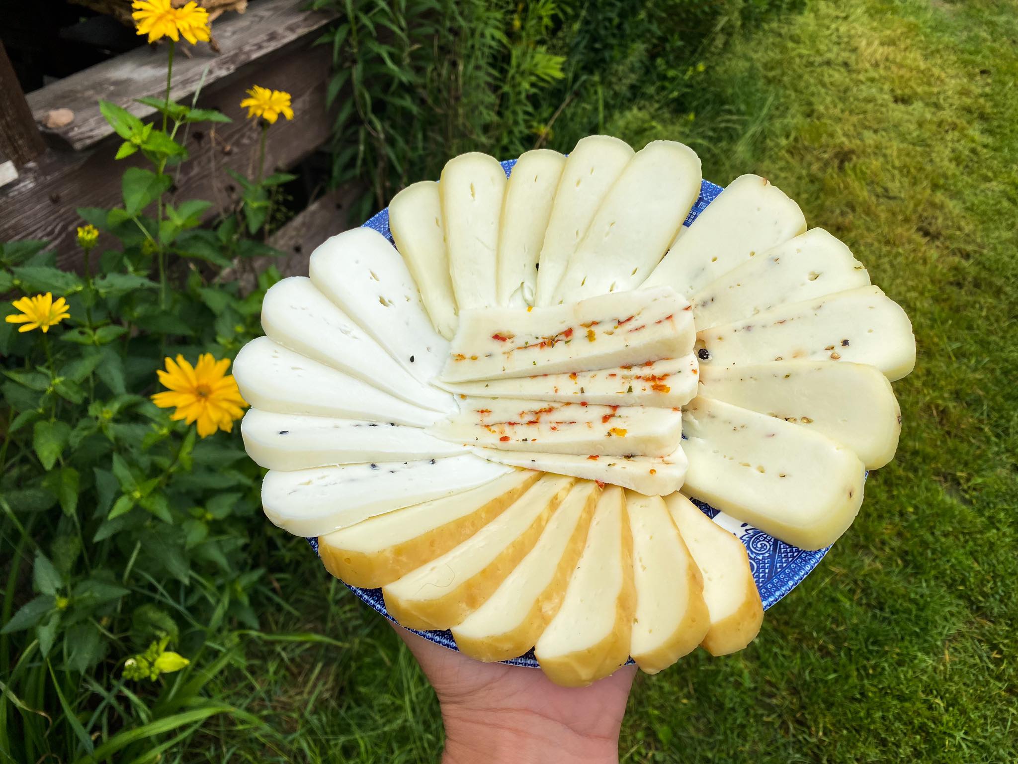 sery kozie Koza Nostra