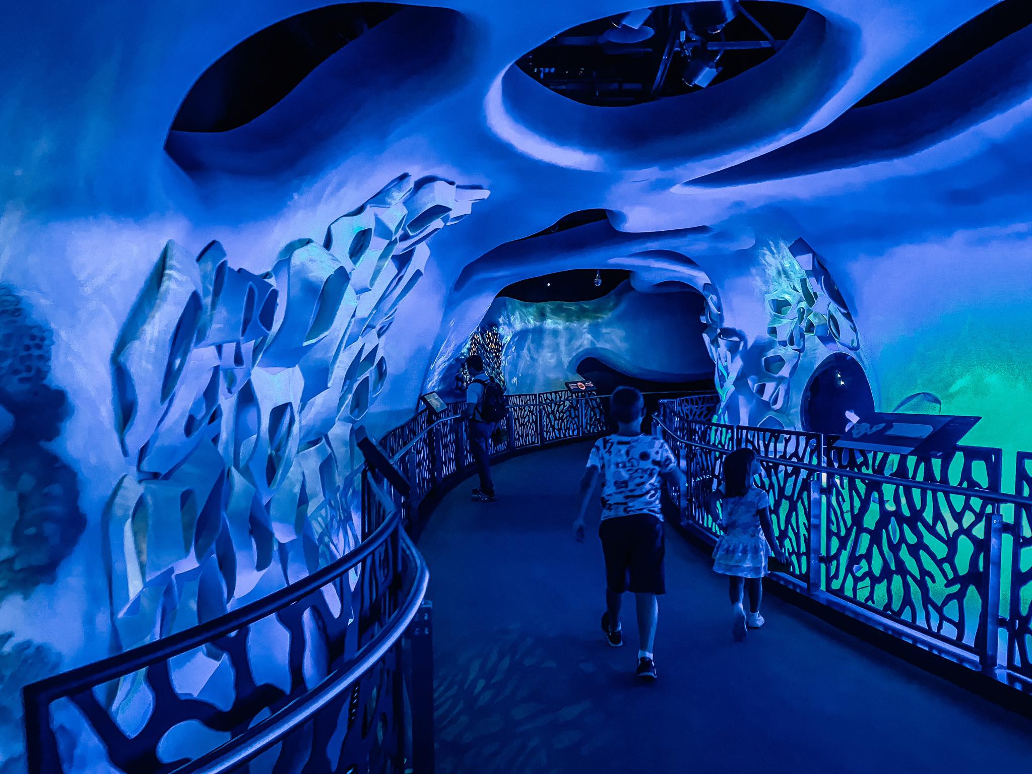 Sustainability Pavilion