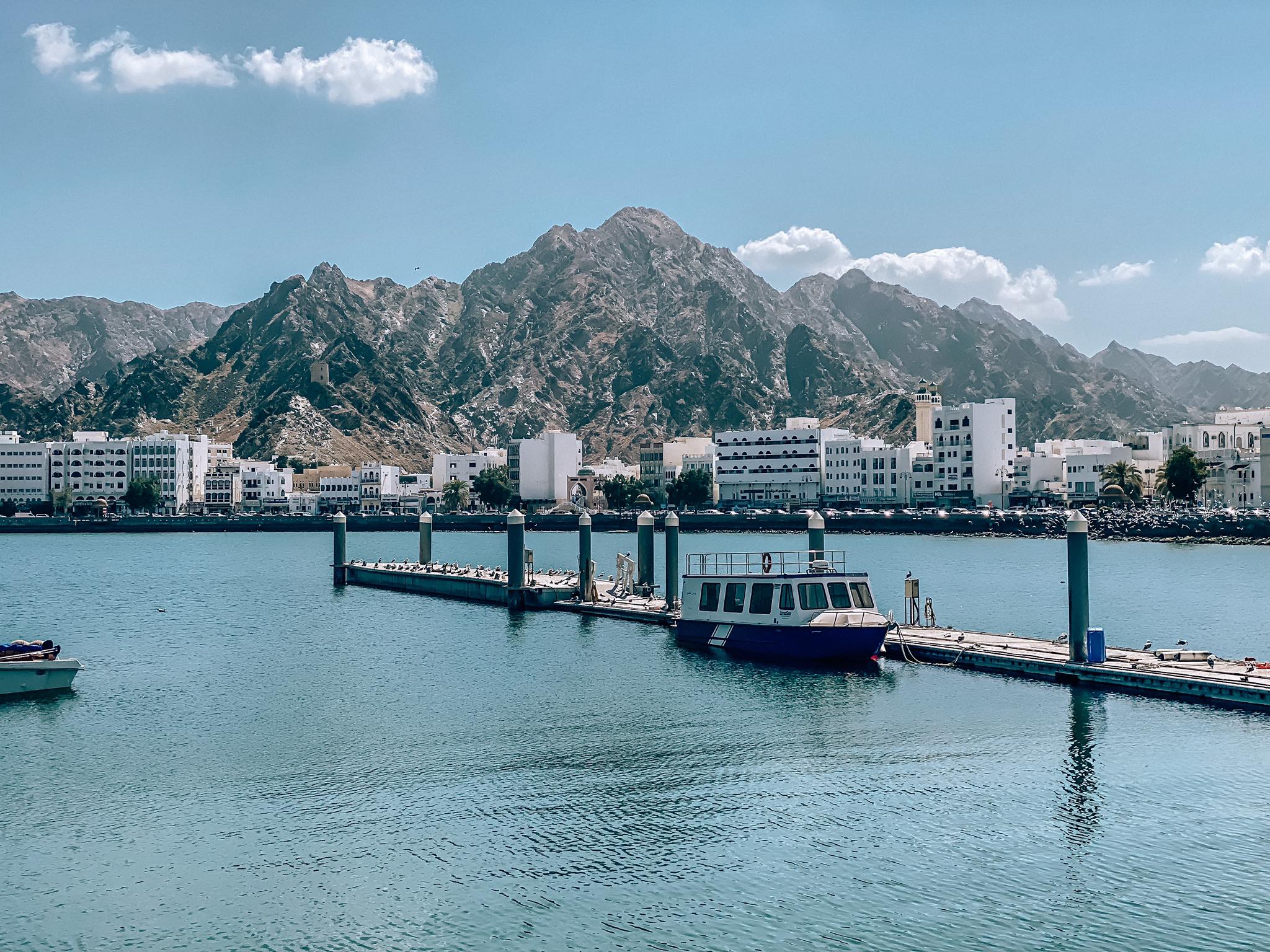 Muskat_13