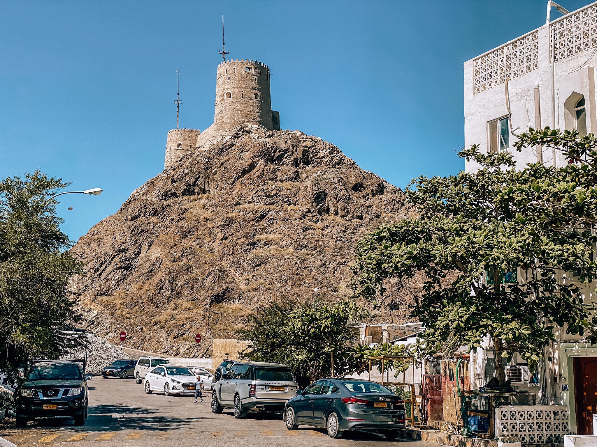 Muskat_17