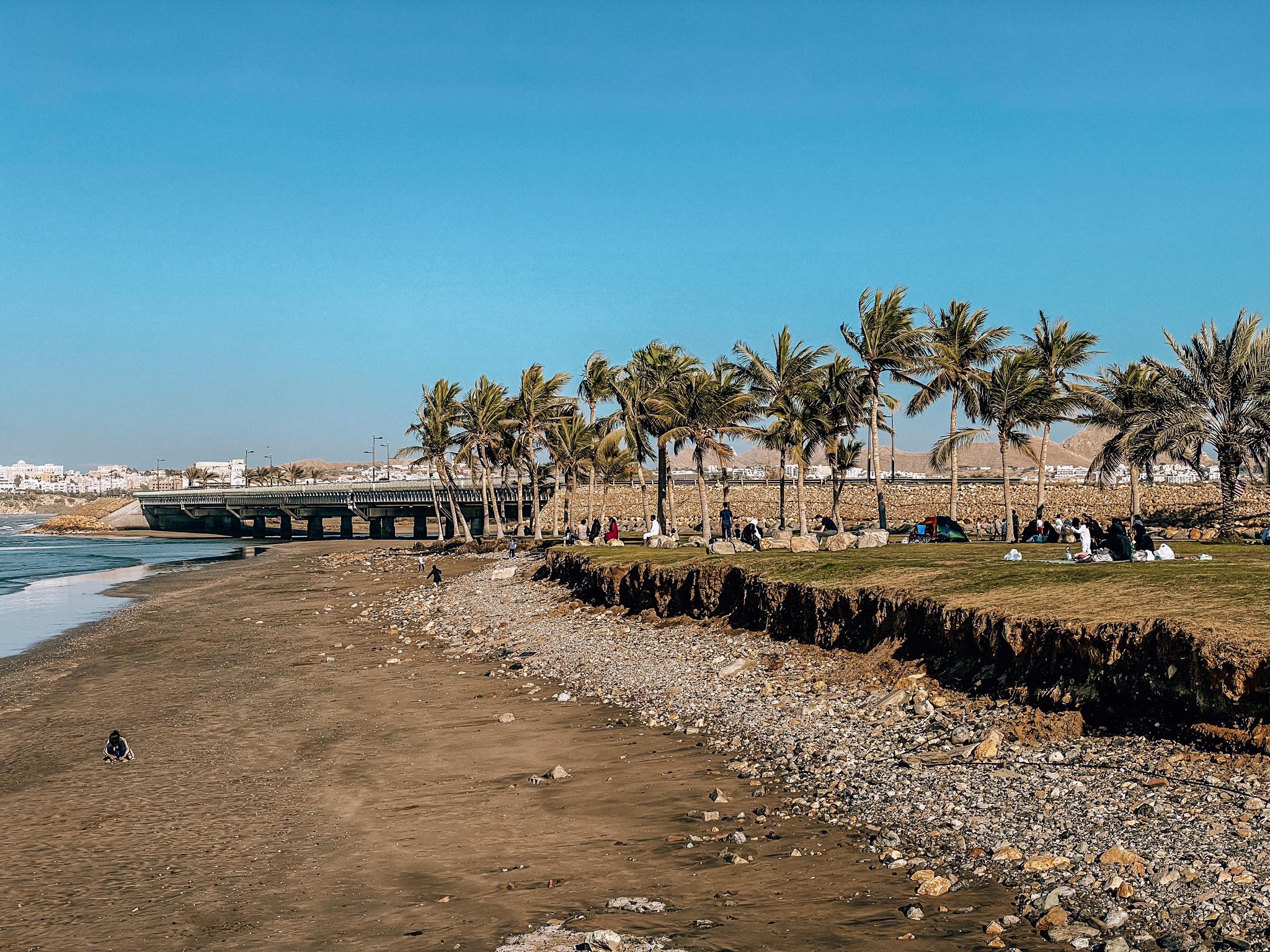 Muskat_2