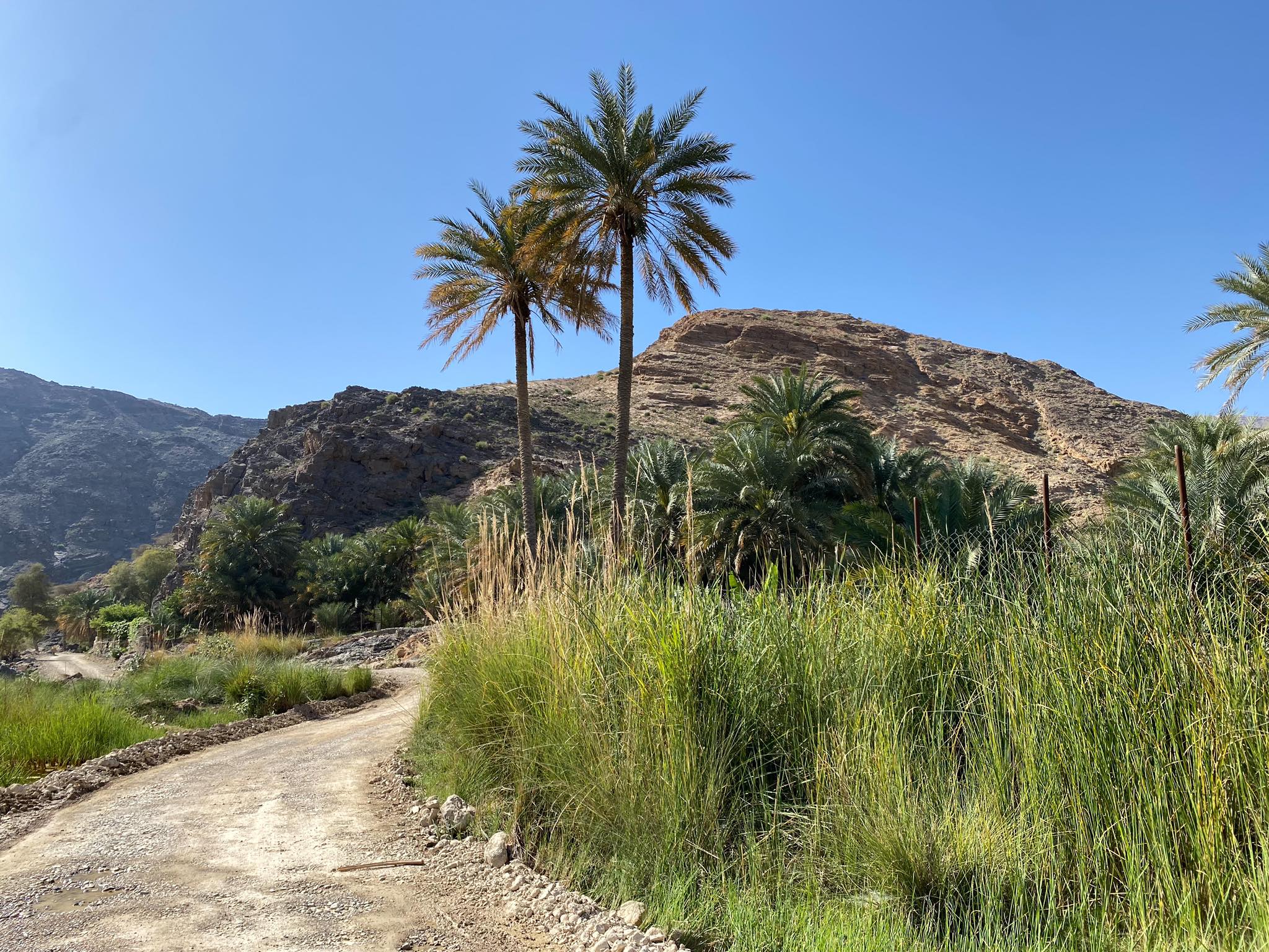 Wadi Al Arbeieen_1