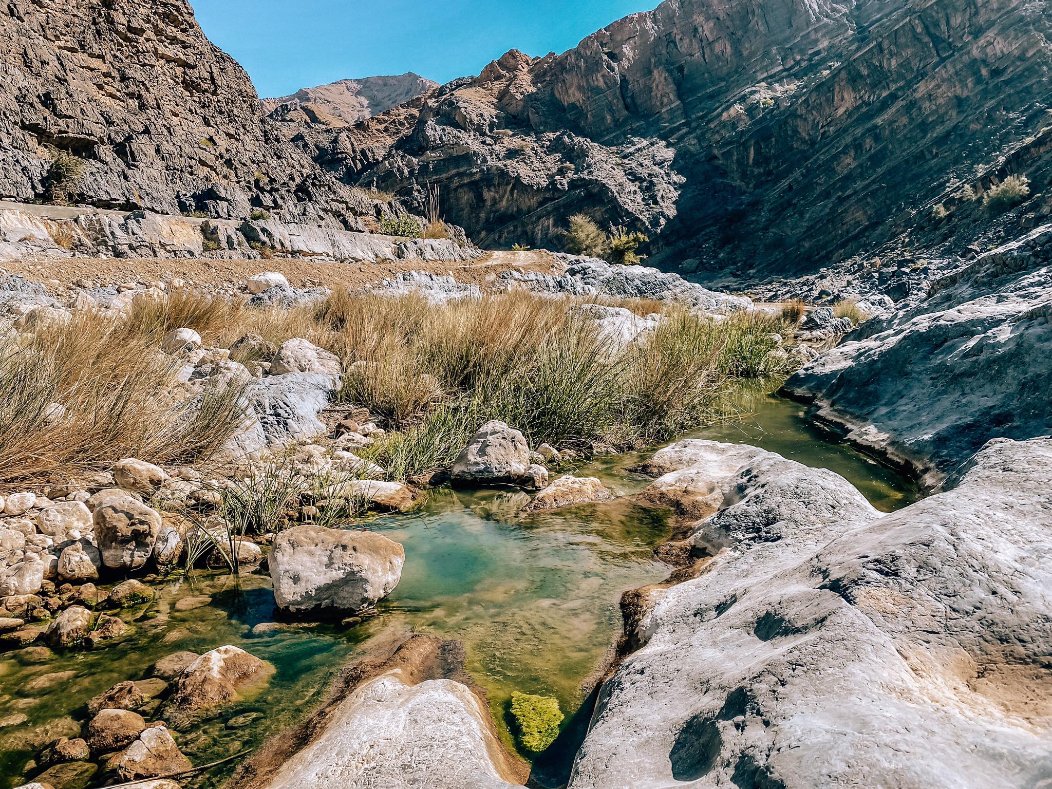 Wadi Al Arbeieen_6