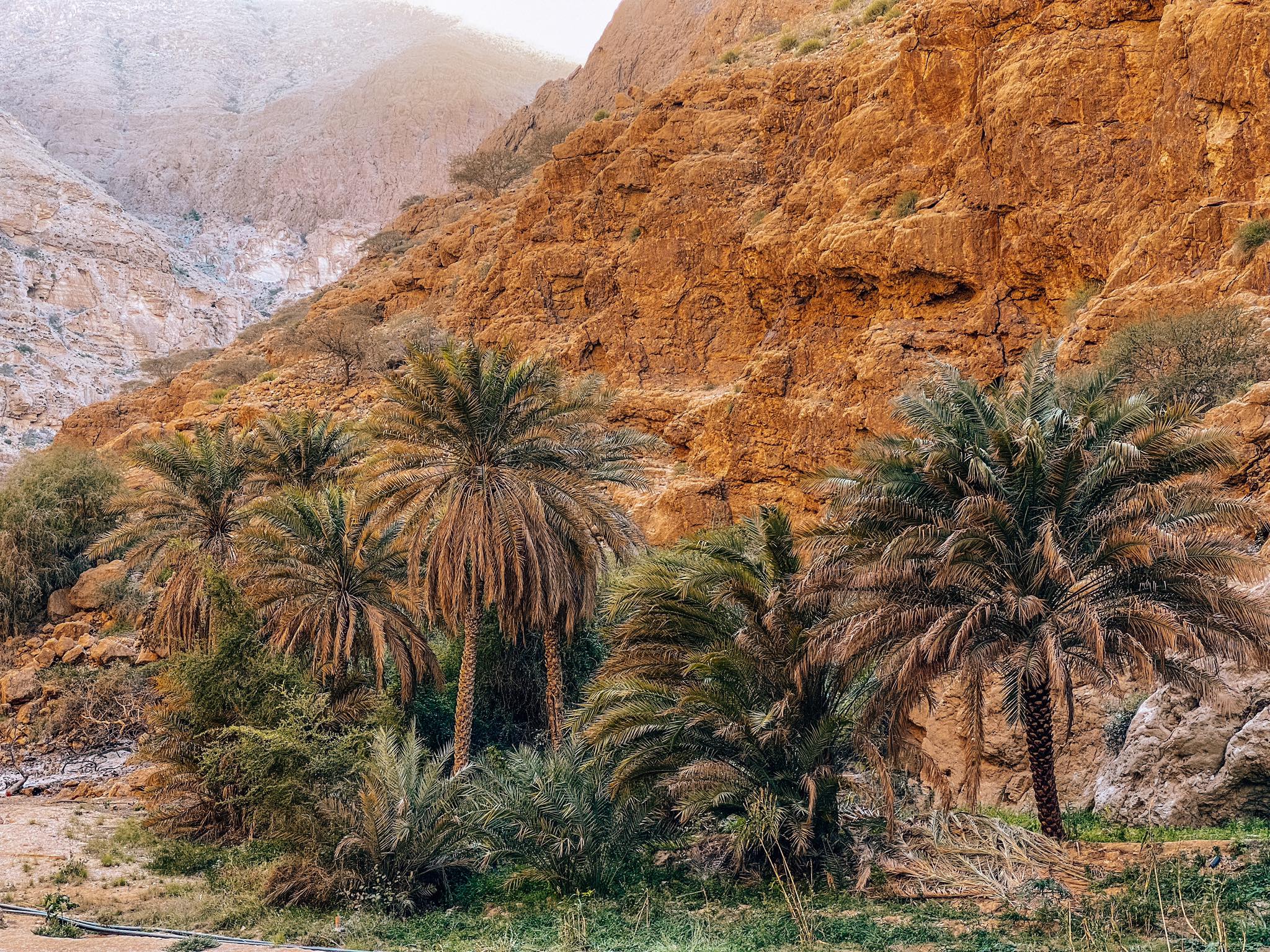 Wadi Shab_1