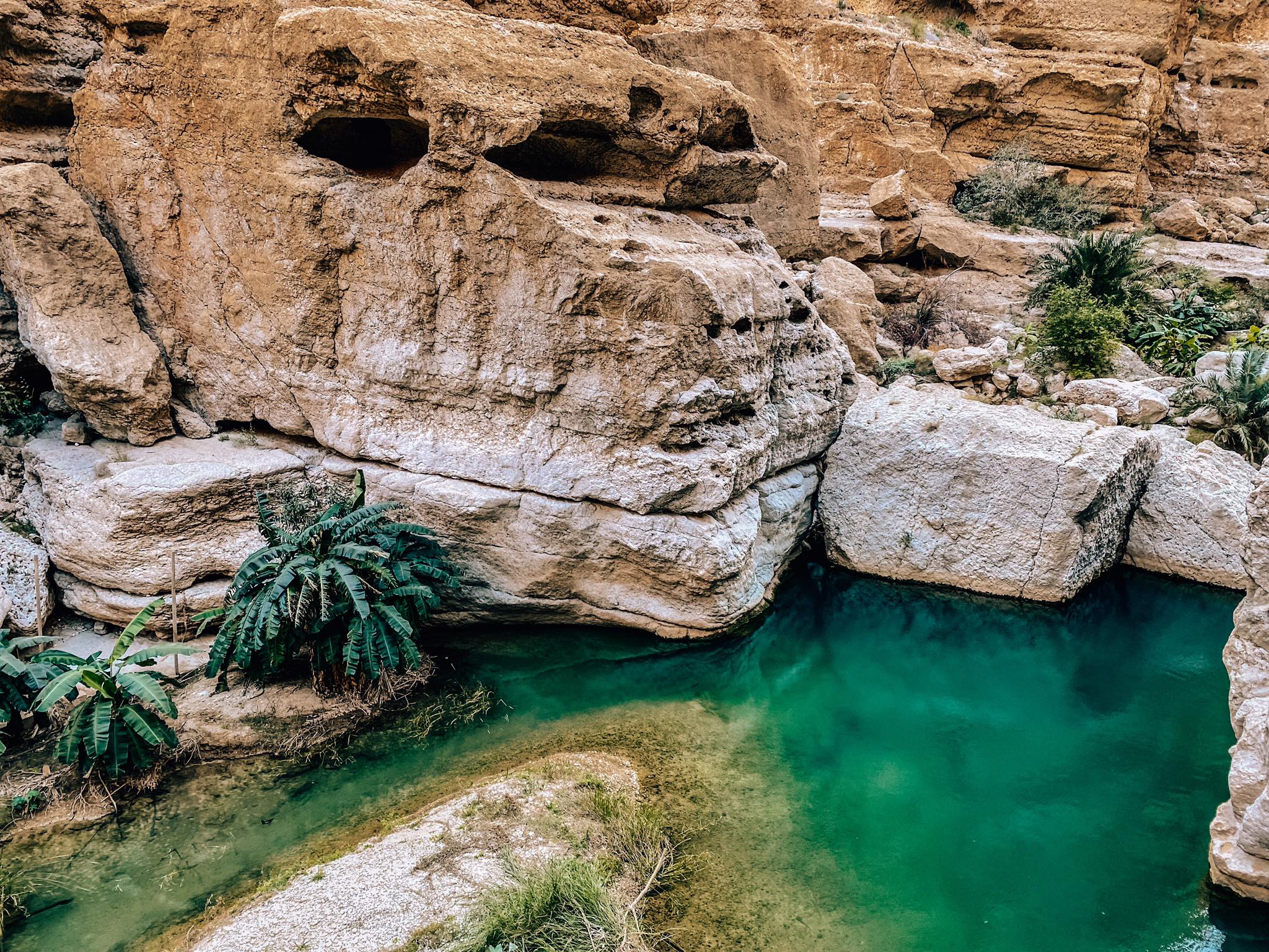 Wadi Shab_10