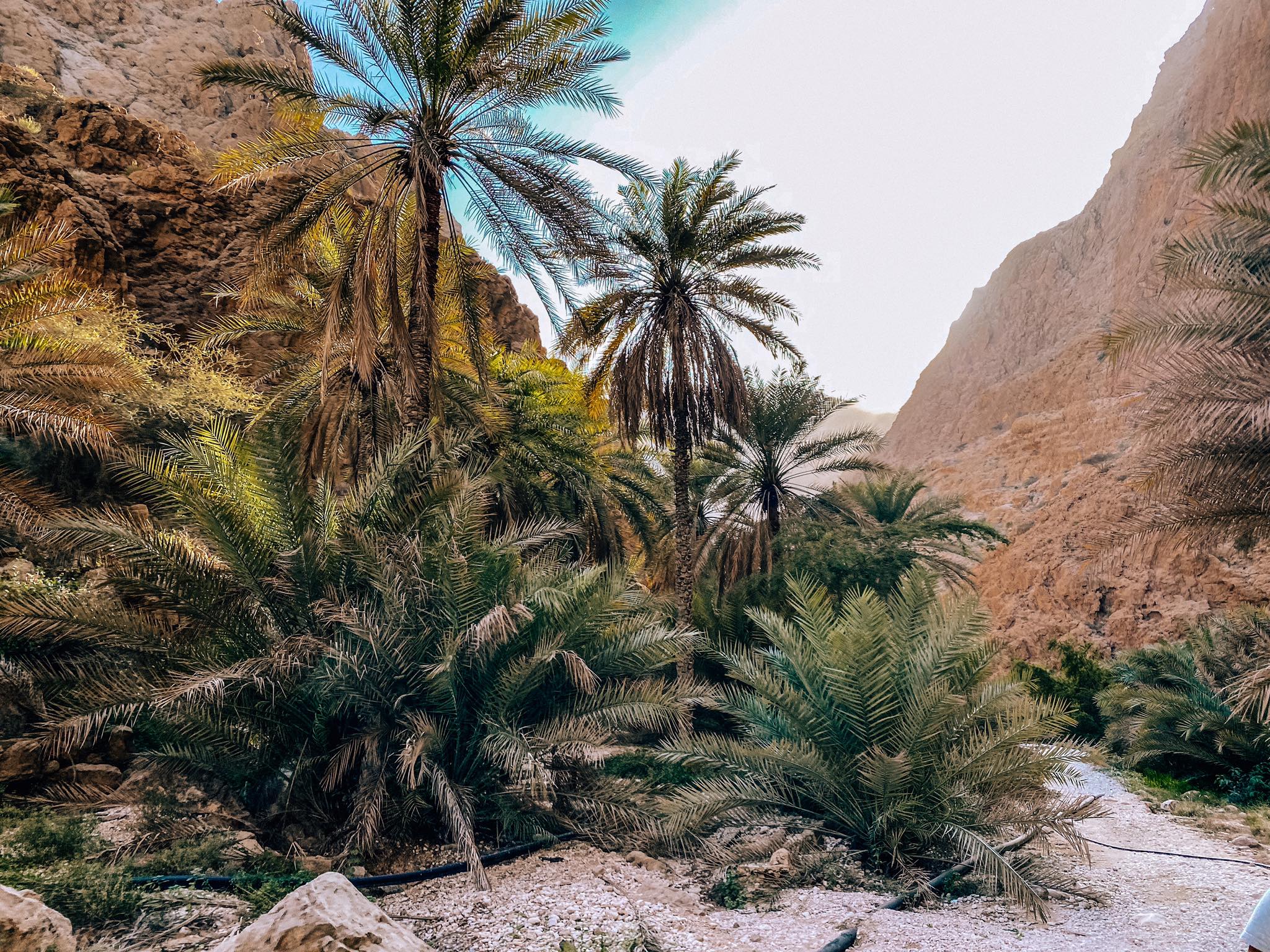 Wadi Shab_2