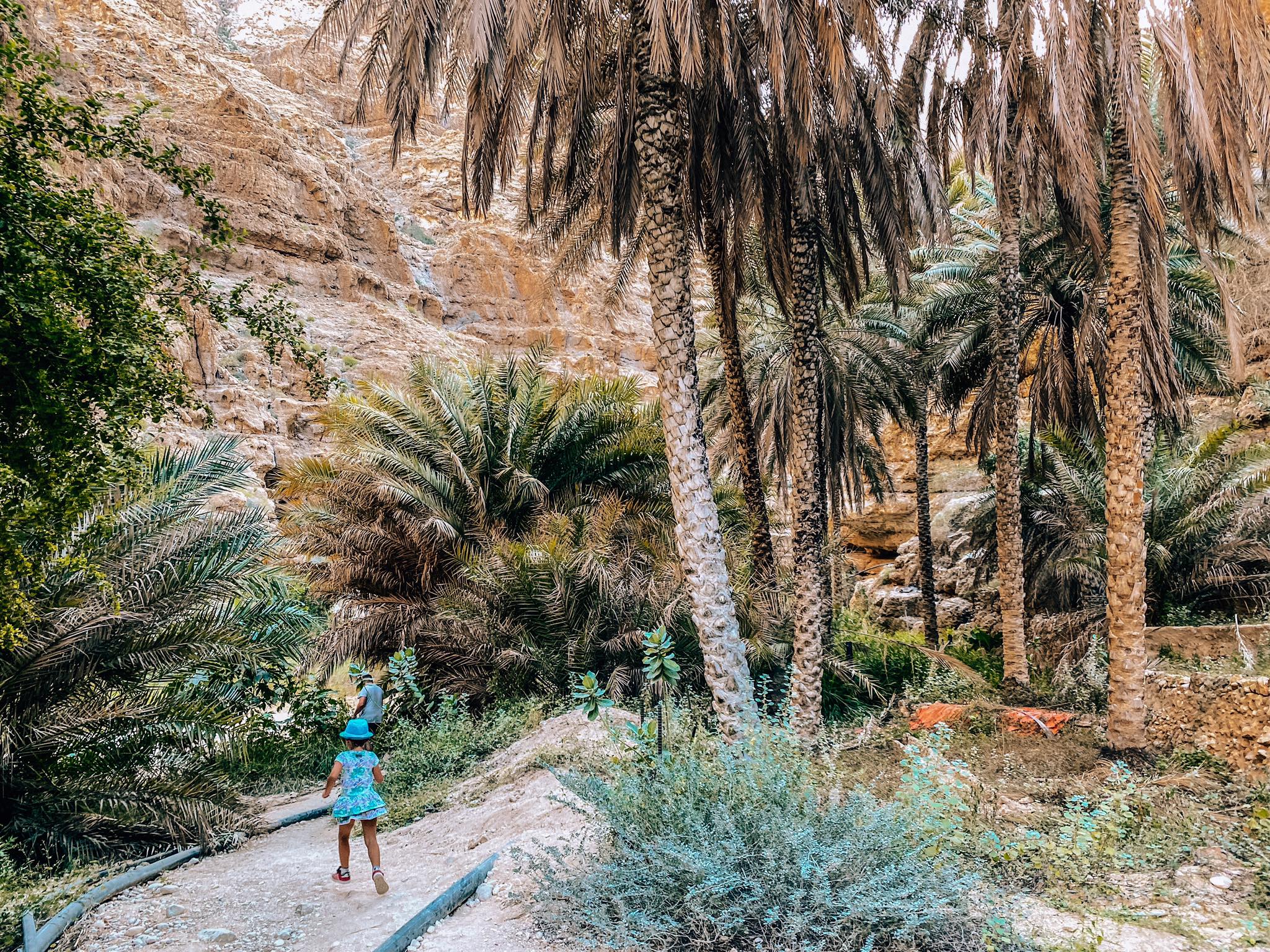 Wadi Shab_4