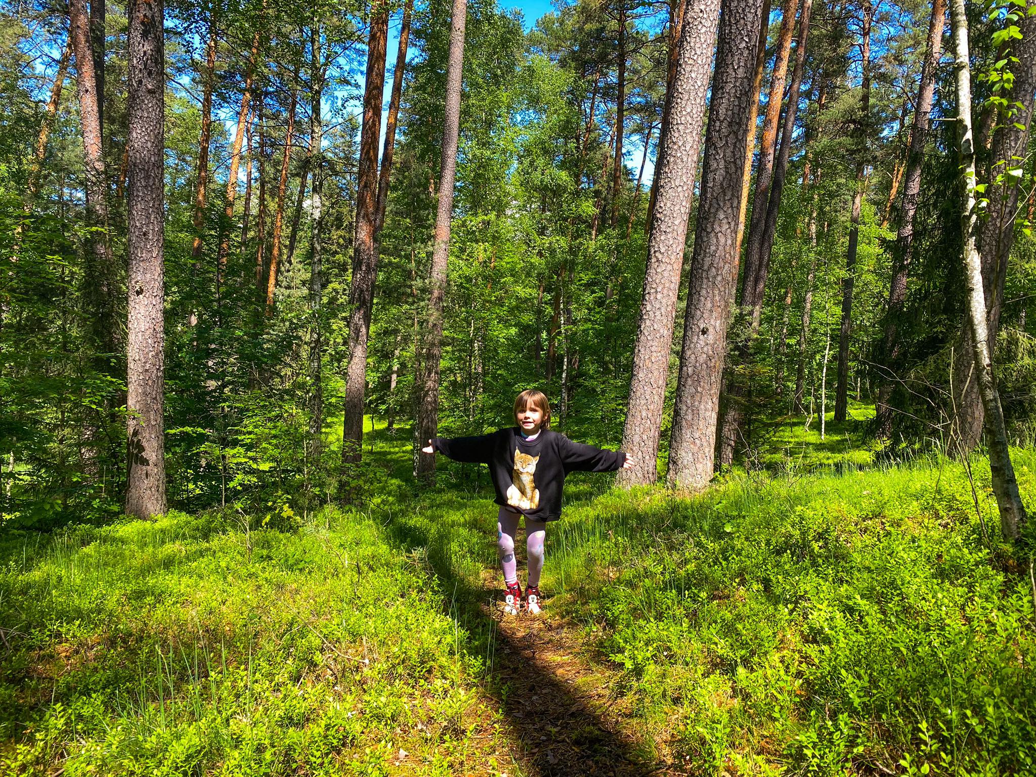 Roztoczanski-Park-Narodowy_4