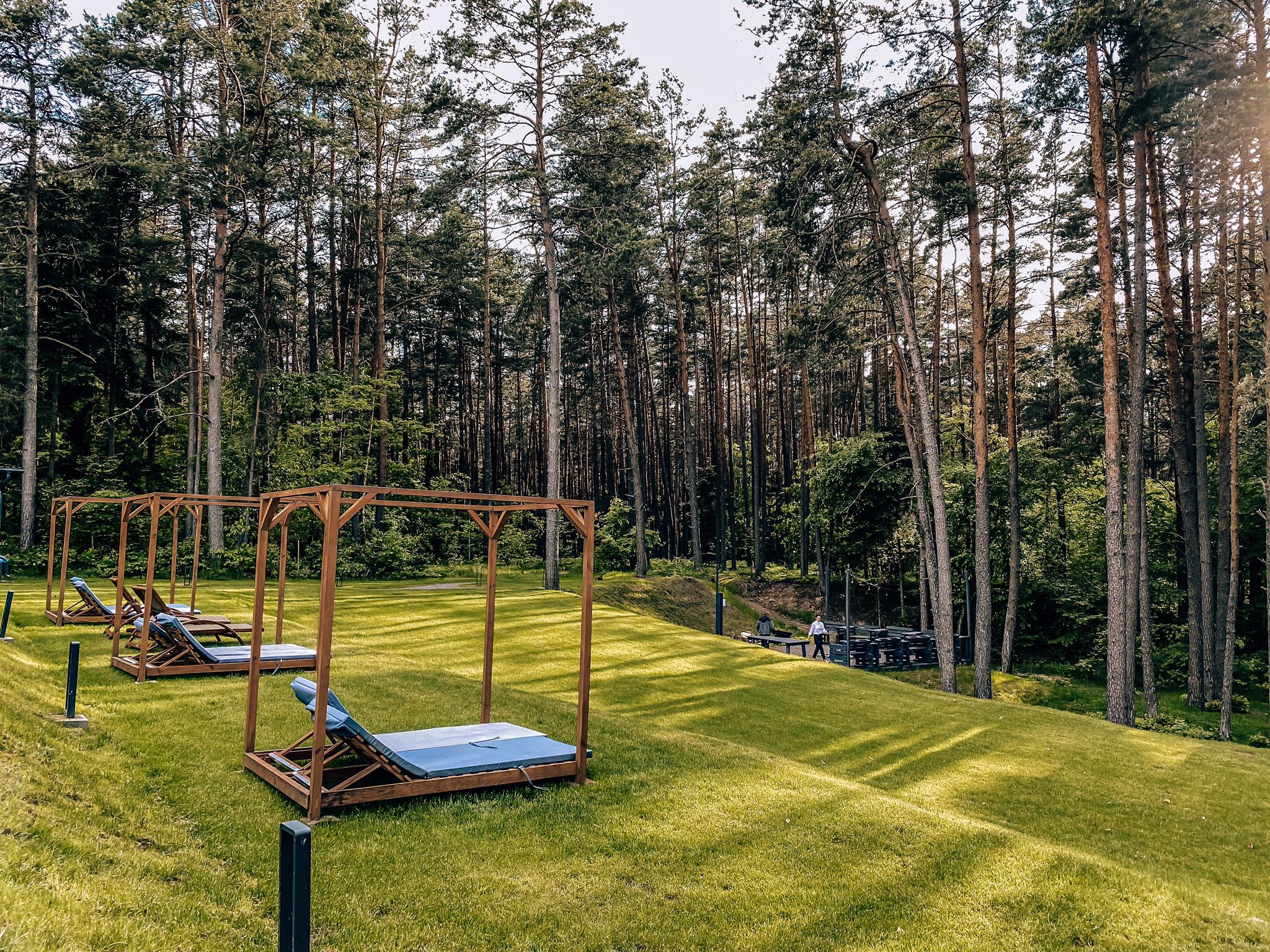 Szumy Park_1