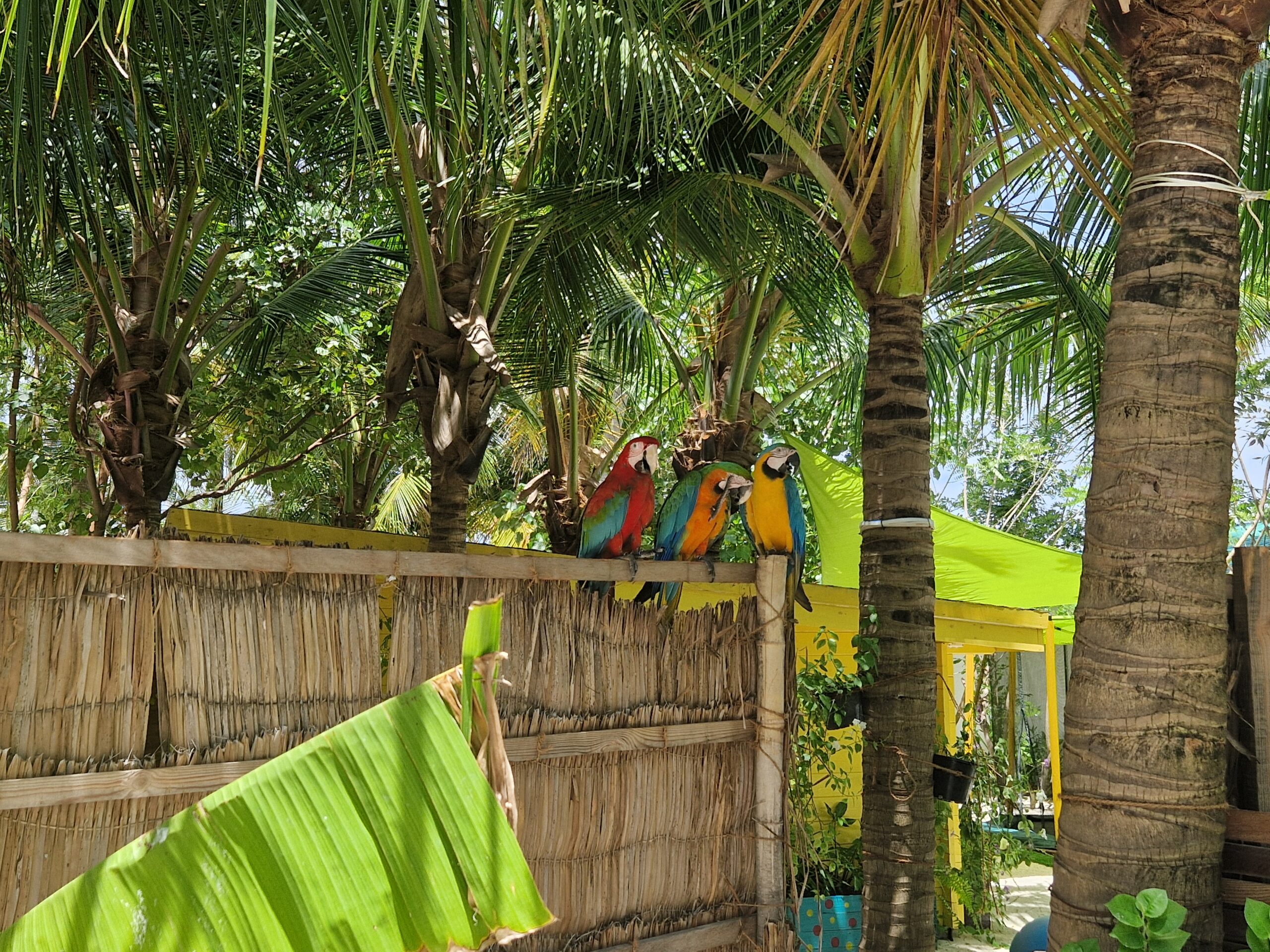 Oaga Art Resort