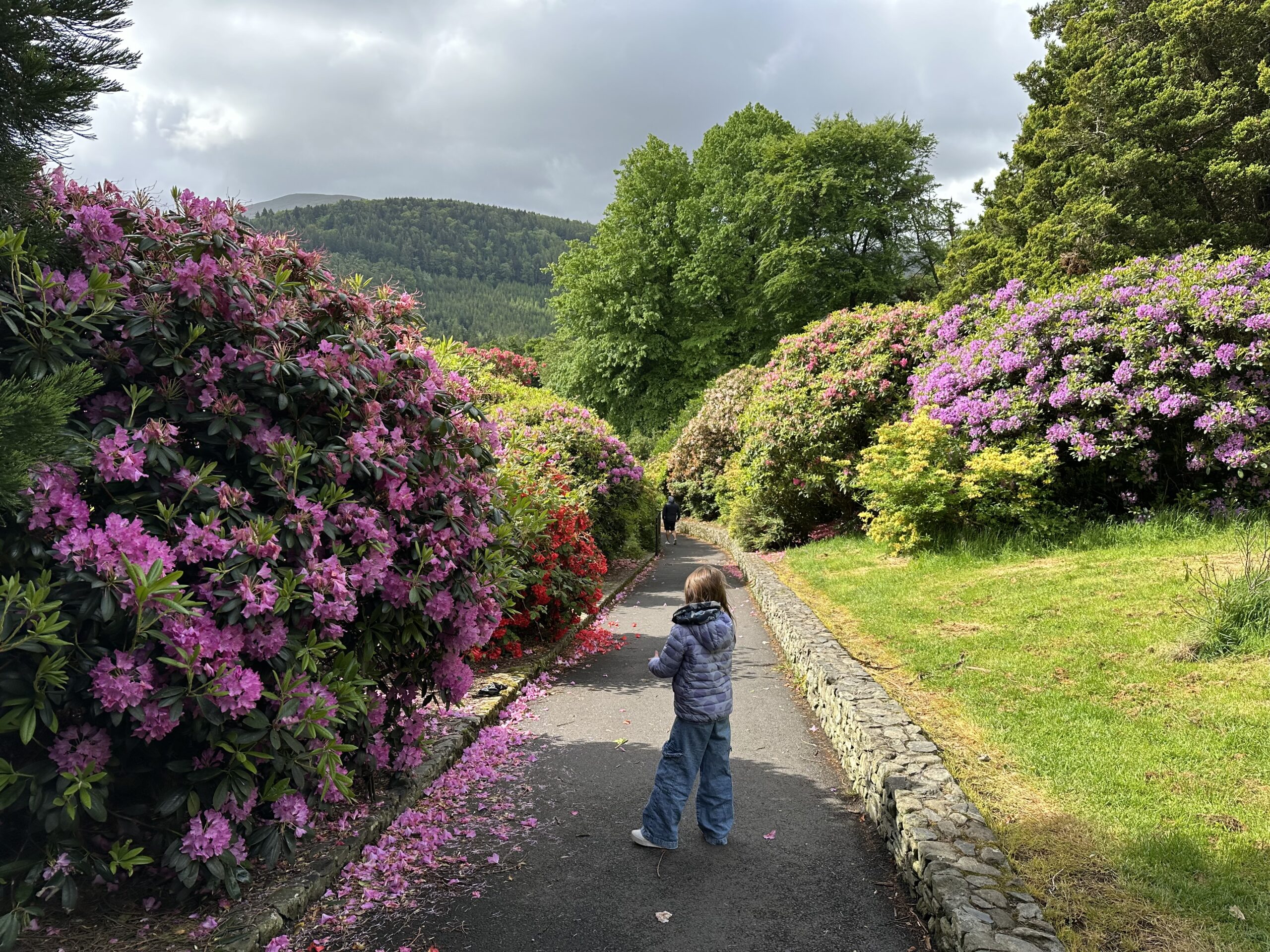 Tollymore Forest Park