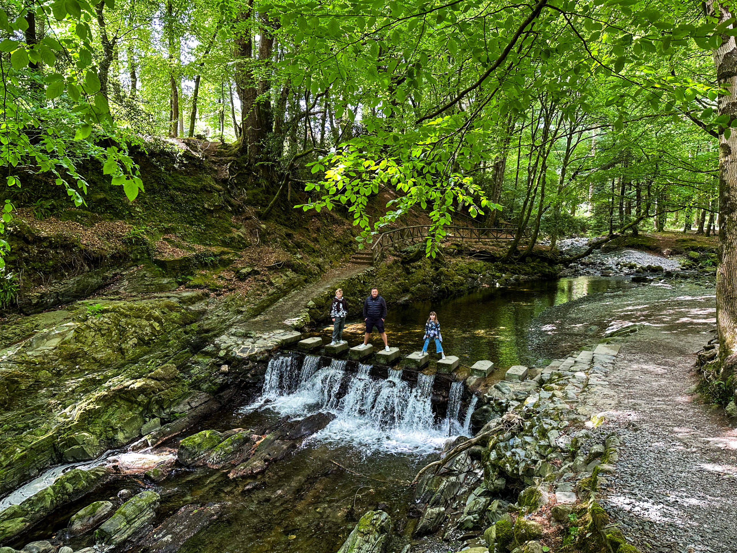 Tollymore Forest Park
