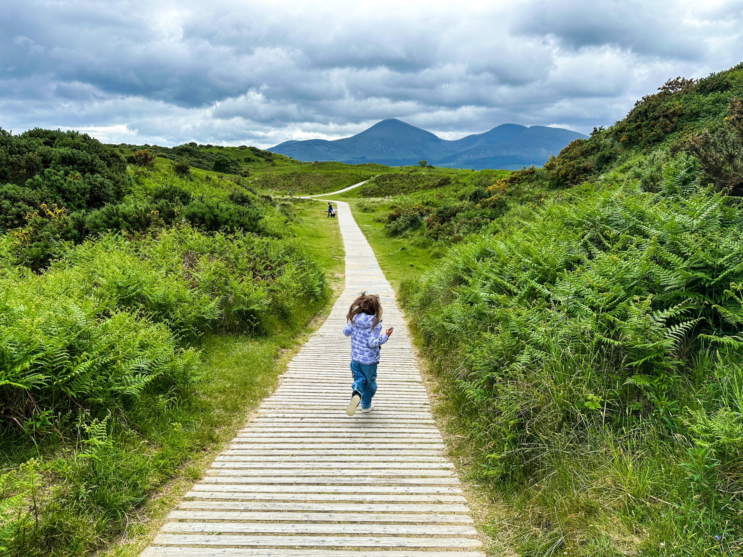 Murlough Nature Reserve