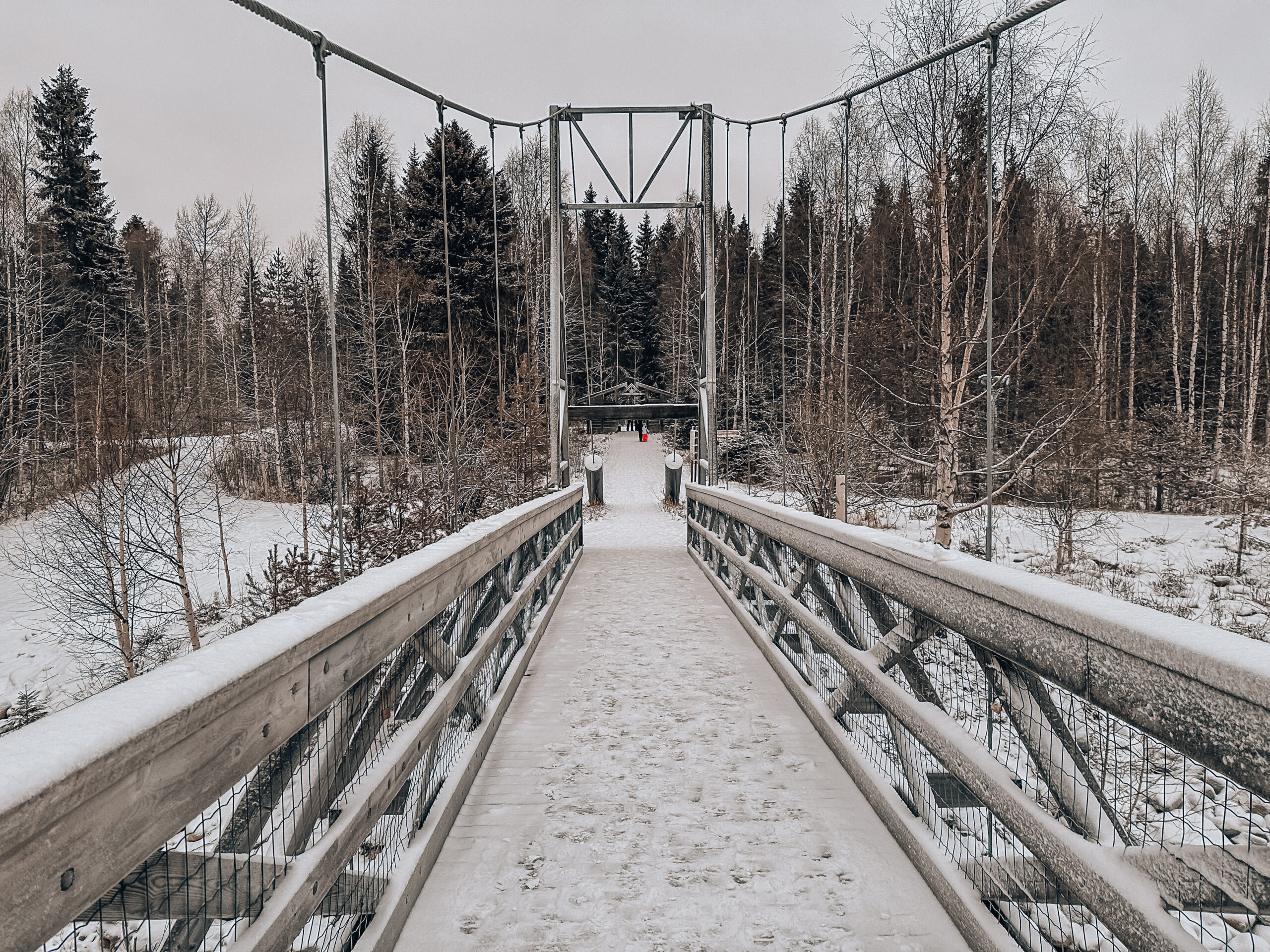 Spacer, Laponia, Rovaniemi 