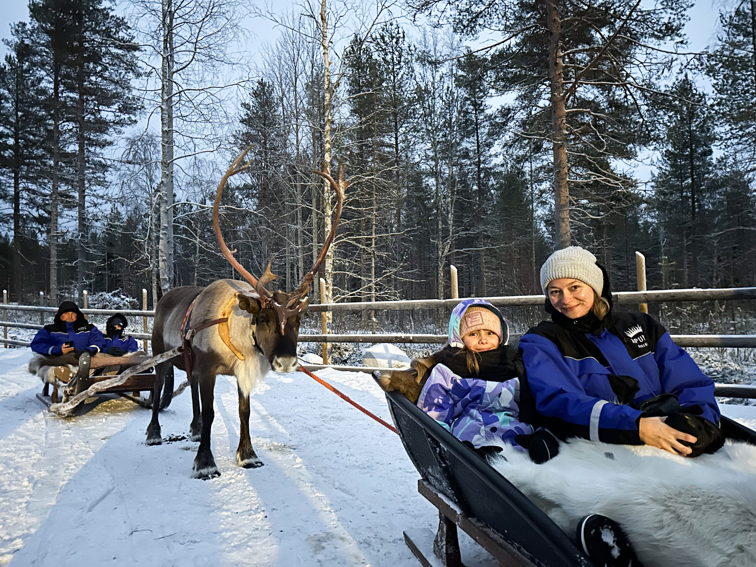 Renifery, Apukka Resort